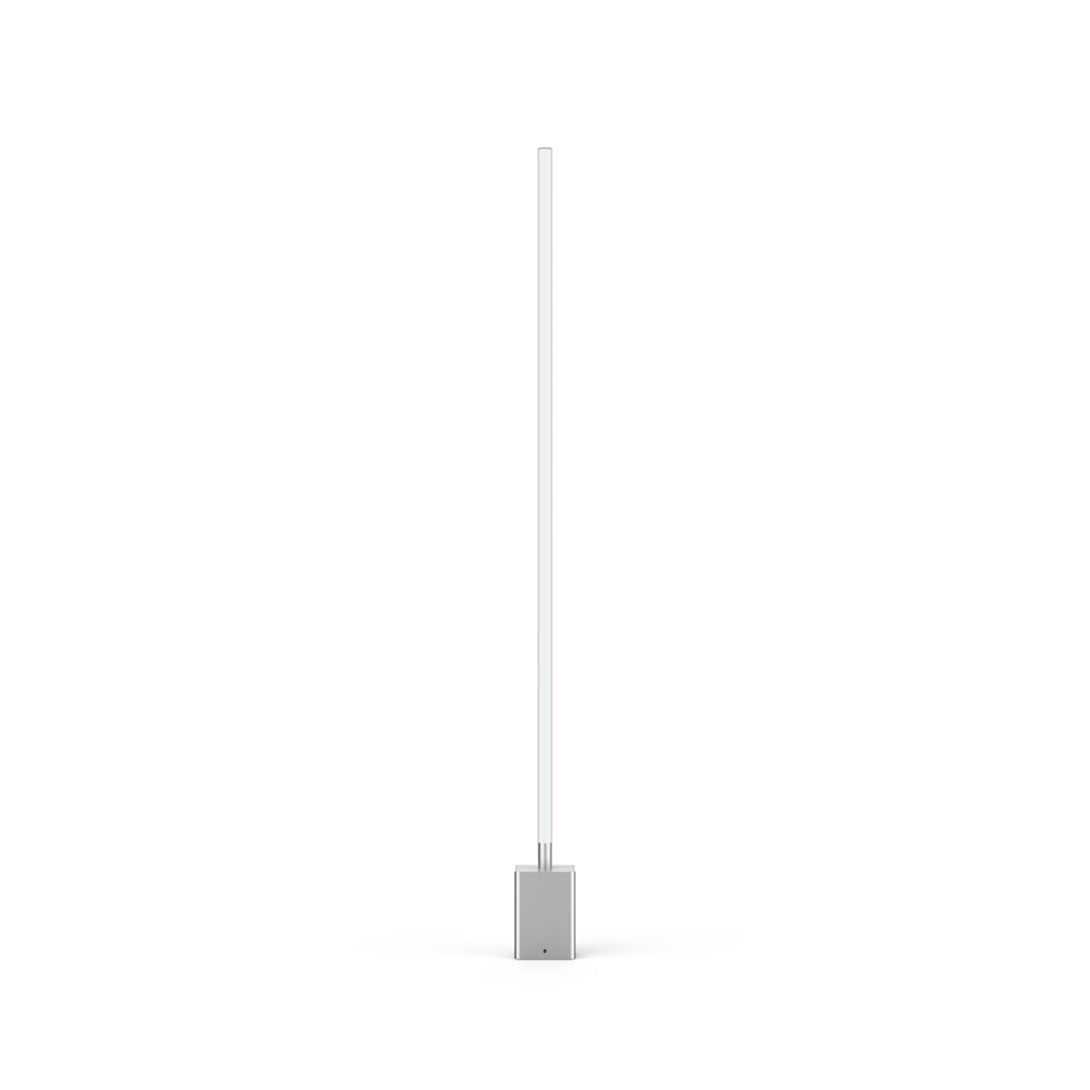 RGBCW Smart Floor Lamp