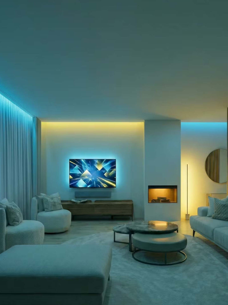 Morning Light of Spring