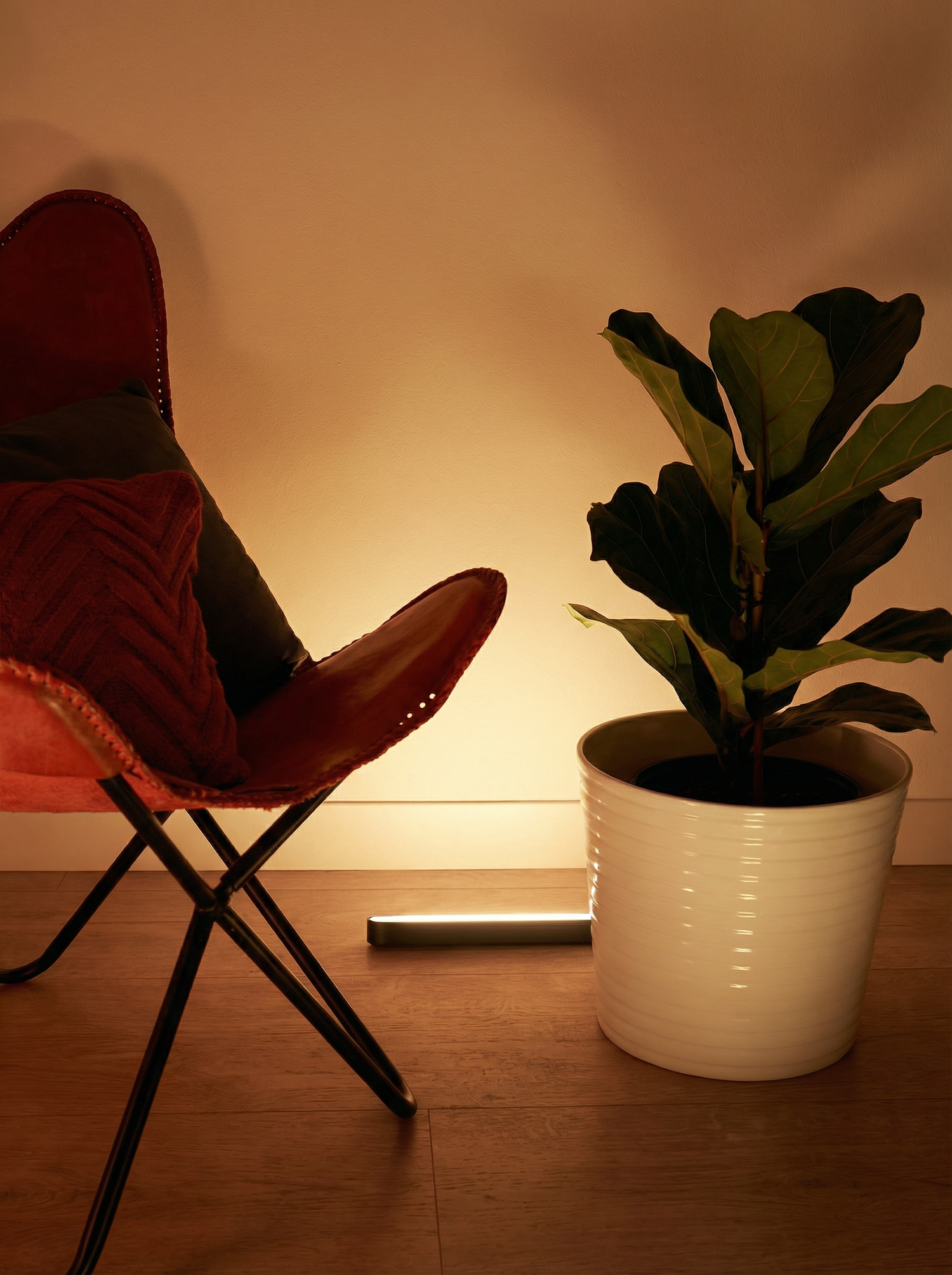 Calefo Gradient Bar Lamps